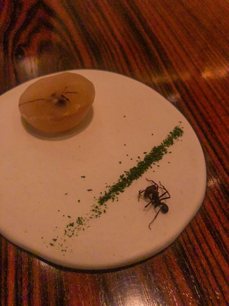 Foto de ima formiga amazônica do restaurante D.O.M